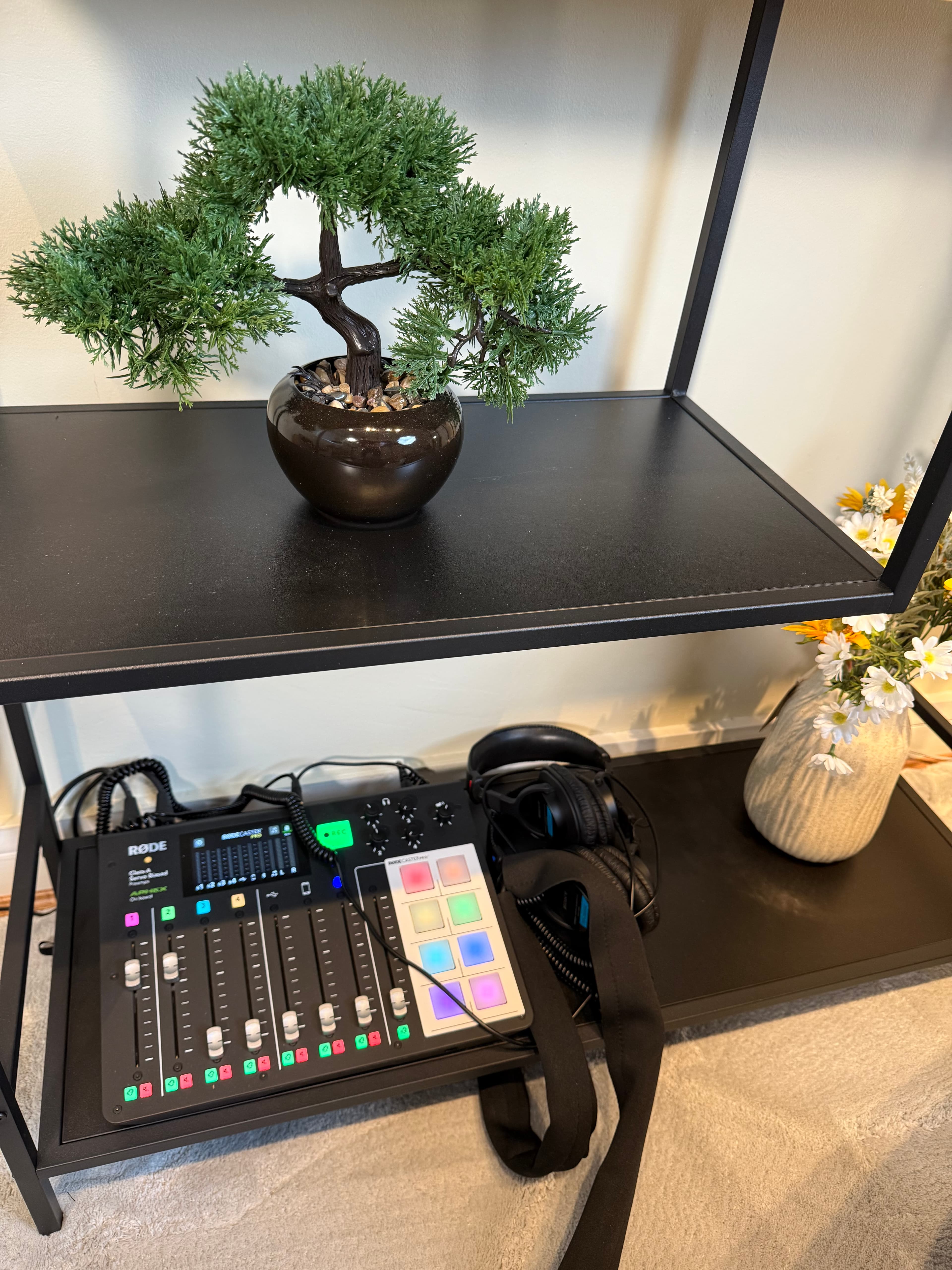 RØDE audio mixer and headphones on a shelf below a small bonsai tree and flowers.